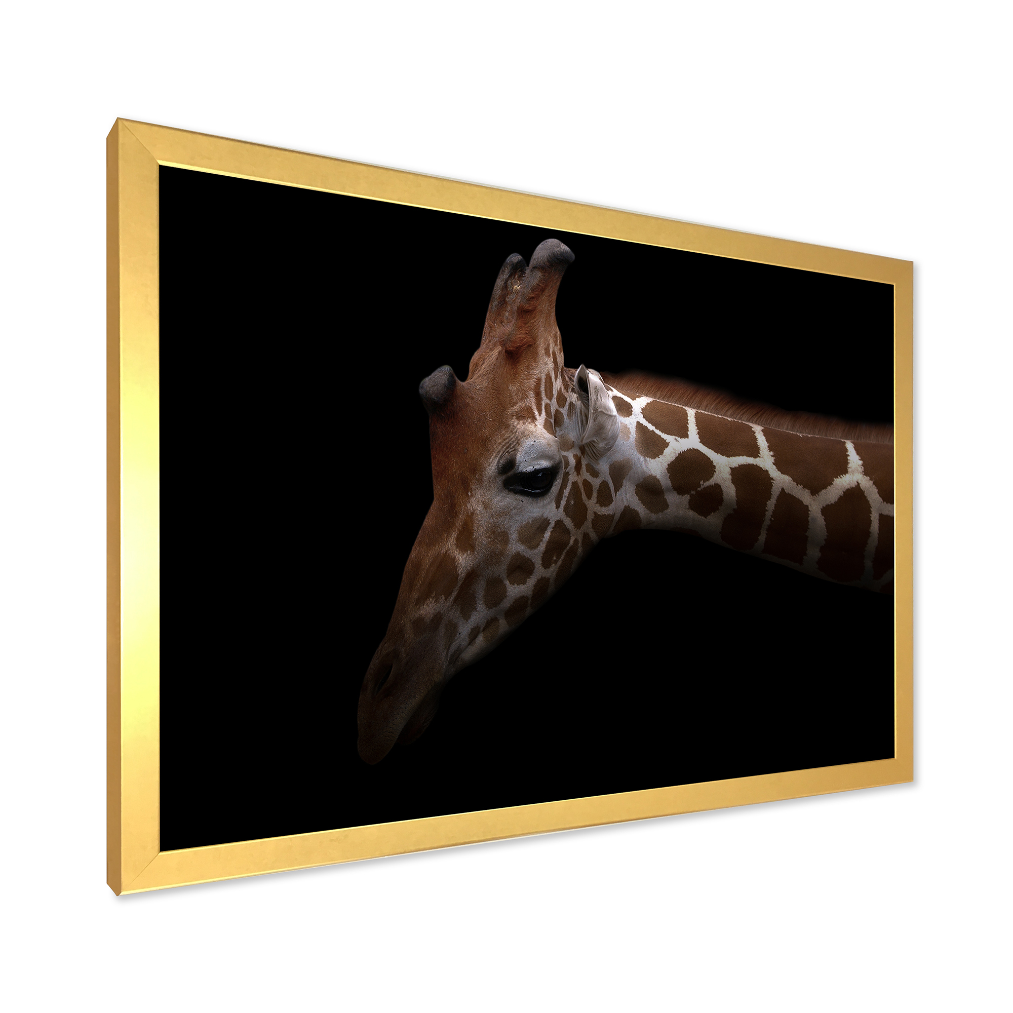 Designart 'Close Up Portrait of A Giraffe VIII' Farmhouse Framed Art Print