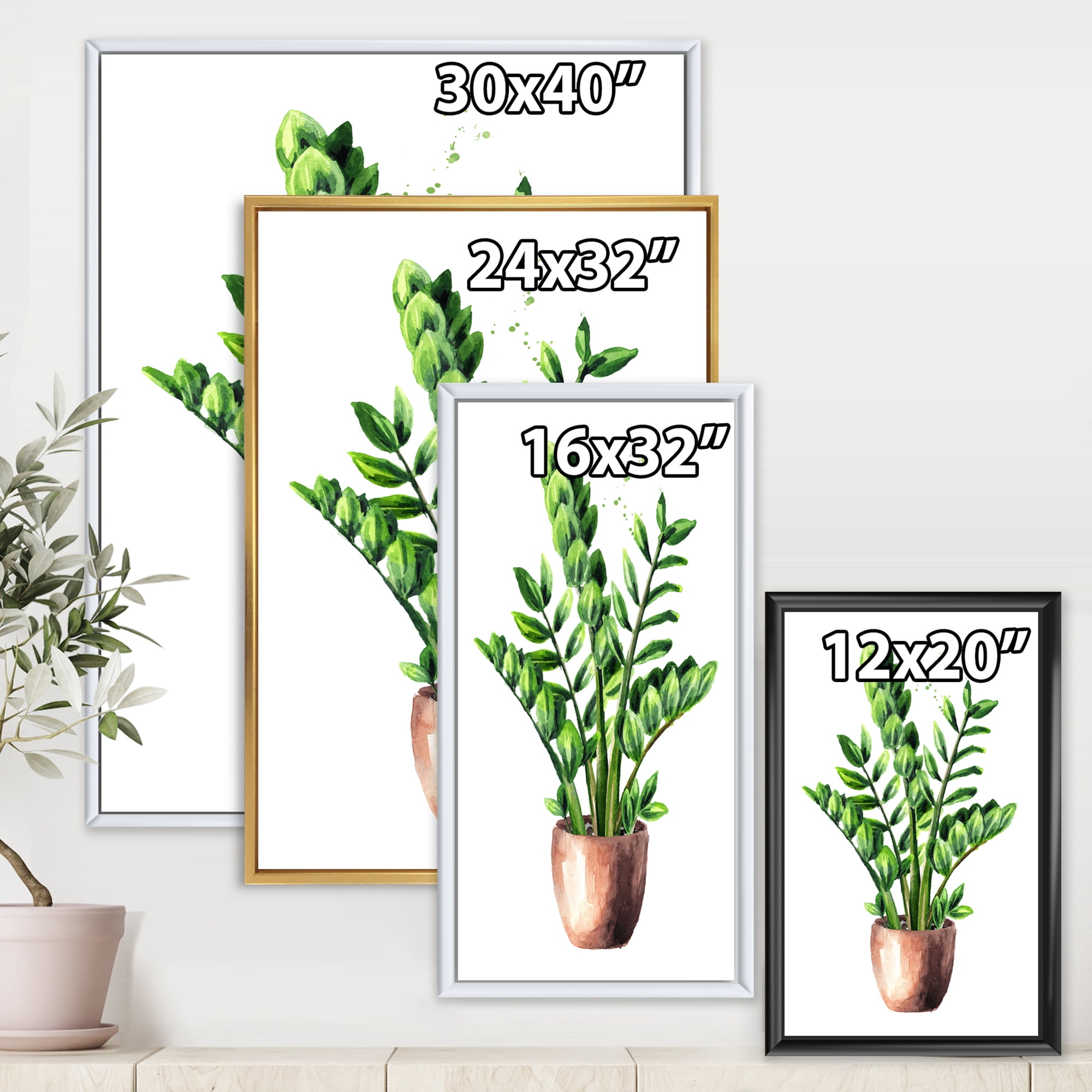 Designart 'Zamioculcas Tropical Plant With Green Leaves On White' Traditional Framed Canvas Wall Art Print