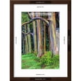 thumbnail image 3 of Hawaii, Maui, Rainbow Eucalyptus Trees, Botanical Framed Art Print Wall Art by Terry Eggers Sold by Art.Com, 3 of 6