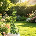 thumbnail image 6 of Kingtowag Gold Planter Vertical Pot Trellis for Indoor Decorative, 2-Pack Steel Floral Trellis, 19.69" * 5.9", Freestanding Plant Climbing Frame, Rust-Resistant and Durable, 6 of 8