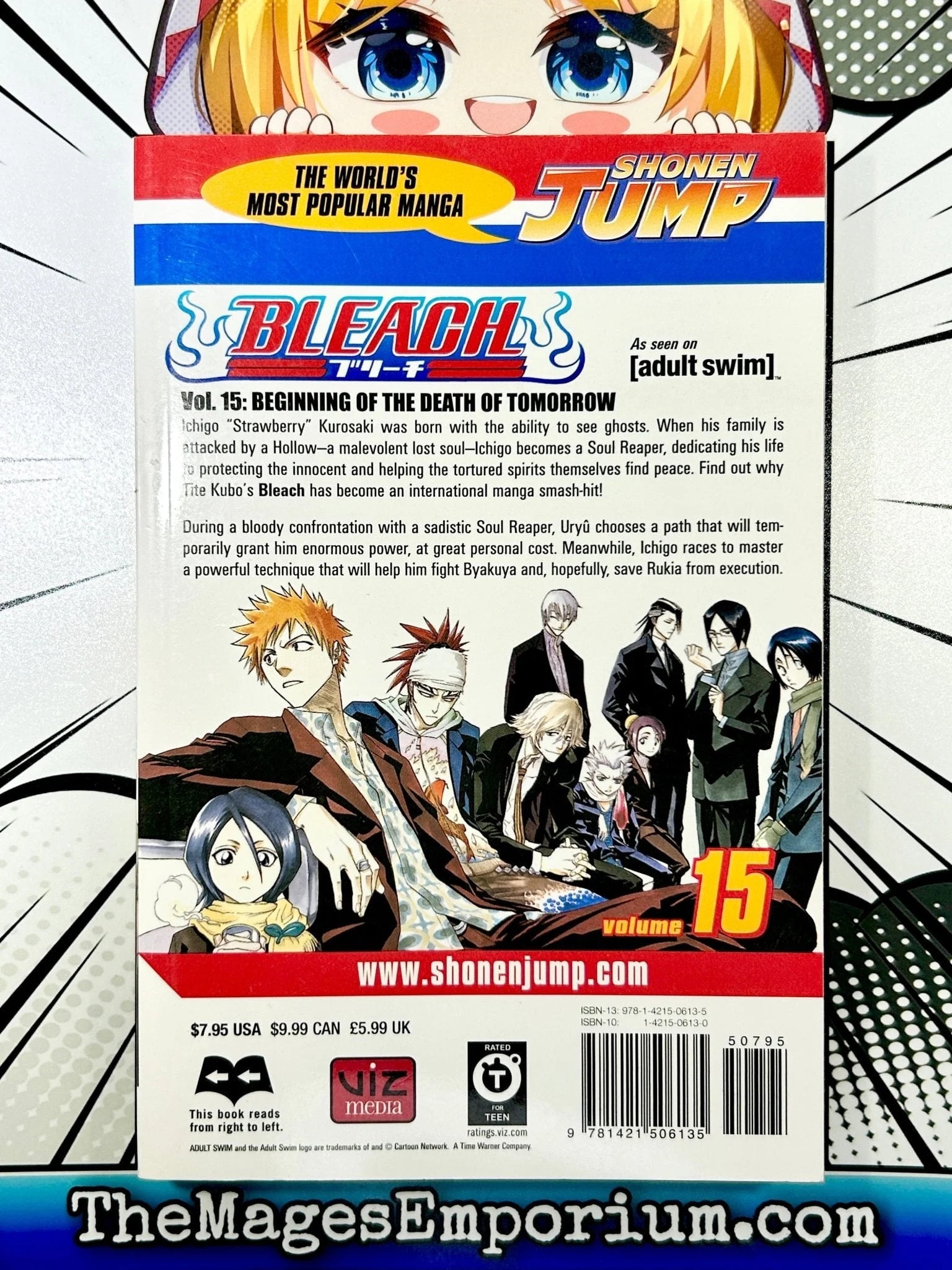 BLEACH 15巻セット Bleach: Bleach, Vol. 15 (Series #15) (Paperback) - Walmart.com