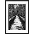 thumbnail image 2 of Art.com Wooden Path in the middle of a Forest in Florida Photographic Print by Philippe Hugonnard, Black Frame Wall Art, 17" x 23", 2 of 5