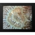 thumbnail image 2 of De Carvalho, Sandro 14x12 Black Modern Framed Museum Art Print Titled - Chewy Minerals, 2 of 5