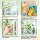 thumbnail image 4 of Adhesivos para ventanas con plantas en maceta, cactus, hojas verdes, bonsáis de primavera, suculentas, no adhesivos, extraíbles, reutilizables, de doble cara., 4 of 9