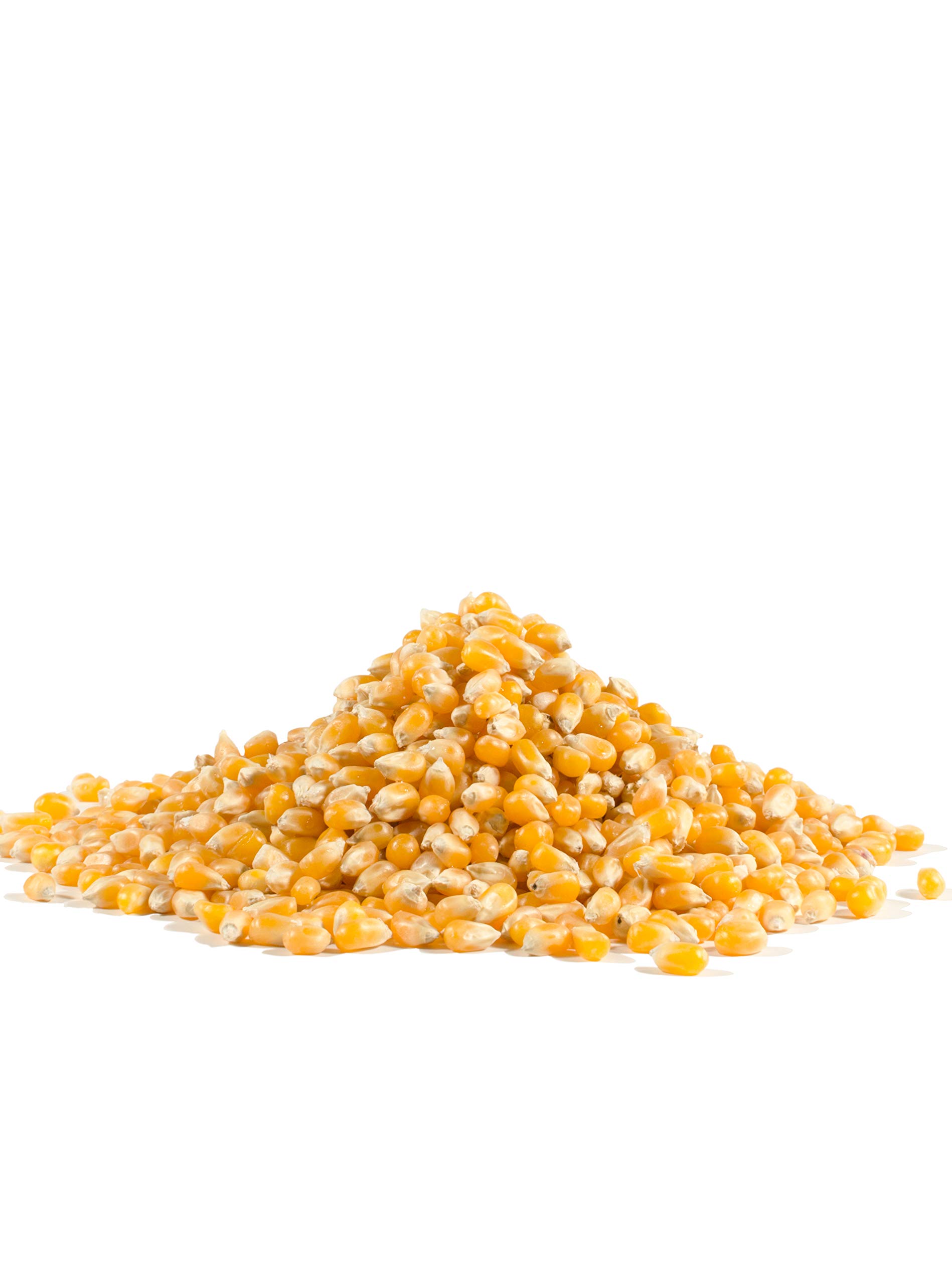 Bob's Red Mill Whole Yellow Popcorn, 30-ounce (Pack of 4)