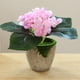 thumbnail image 4 of Flor falsa hortensia de cuatro hojas pequeña flor bonsái planta artificial flor de seda planta verde planta en maceta, 4 of 5
