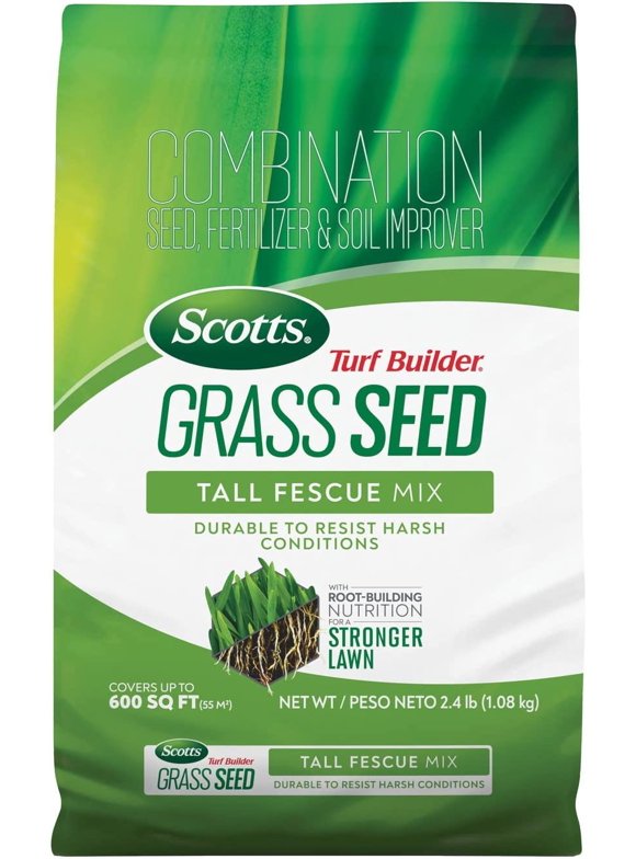 Fescue Grass Seeds in Grass Seed & Sod