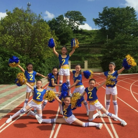 WEUVEB 12Pcs Cheer Poms Plastic Pom Poms for High School Sports