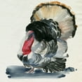 thumbnail image 2 of Parker, Jennifer Paxton 26x26 Black Ornate Wood Framed with Double Matting Museum Art Print Titled - Watercolor Turkey II, 2 of 4