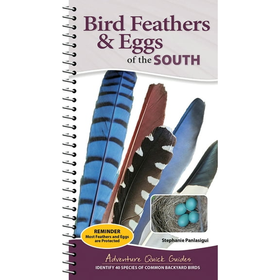 Adventure Quick Guides Bird Feathers & Eggs of the South: Identify 40 Species of Common Backyard Birds, (Spiral-Bound)