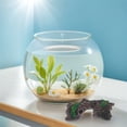 thumbnail image 1 of unbranded 1Jgo Resistente De Resina Con Y Naufragio Para Acuarios Con Peces Y Camarones, 1 of 6