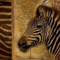 thumbnail image 2 of Elegant Safari I - Zebra Poster Print by Patricia Pinto, 2 of 2