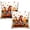 Fall Gnomes, variant on Christmas Pillow Covers 20x20 Set of 2 Green Xmas Tree Throw Pillow Covers Winter Holiday Decorative Pillowcase Double Sided Printing Cushion Case for Home Decor Sofa Couch