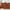Rust, variant on decorUhome Decorative Throw Pillow Covers 18x18 Set of 2, Soft Plush Faux Fur Wool Pillow Covers for Couch, Cream White