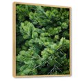 thumbnail image 2 of Designart "Pure Pine Essence In Woods" Tree Pine Floater Framed Wall Decor, 2 of 5