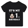 thumbnail image 4 of Ropa infantil con estampado de Mickey Mouse de Disney, es mi cumpleaños de 1, 2, 3, 4, 5, 6, 7, 8 y 9 años, camisetas para niños y niñas, lindas camisetas para bebés y niños, 4 of 5