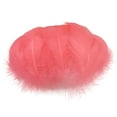 thumbnail image 2 of Fiudx Juego de Plumas de Colores, Decoración Artesanal, Material de Imitación Suave y Hermoso, Colores Brillantes y Variados, Ideal para Hacer Broches, Fiestas o Decoración Del Hogar, 6-12 Cm, 100 Pi, 2 of 2