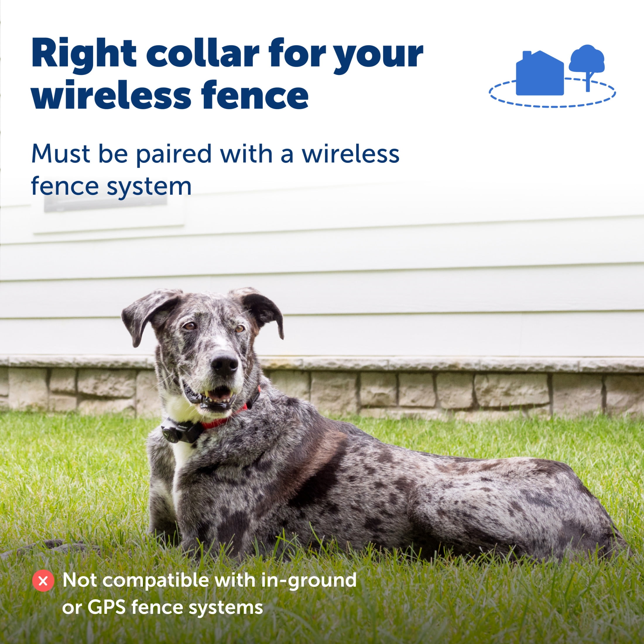 (2 pack) (2 pack) PetSafe Wireless Pet Fence Containment System Receiver Collar Only for Dogs and Cats Over 8 lbs., Waterproof with Tone and Static Correction - from The Parent Company of Invisible Fence Brand