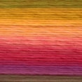thumbnail image 2 of Lion Brand Landscapes Medium Acrylic Multi-color Yarn, 147 yd, 2 of 5