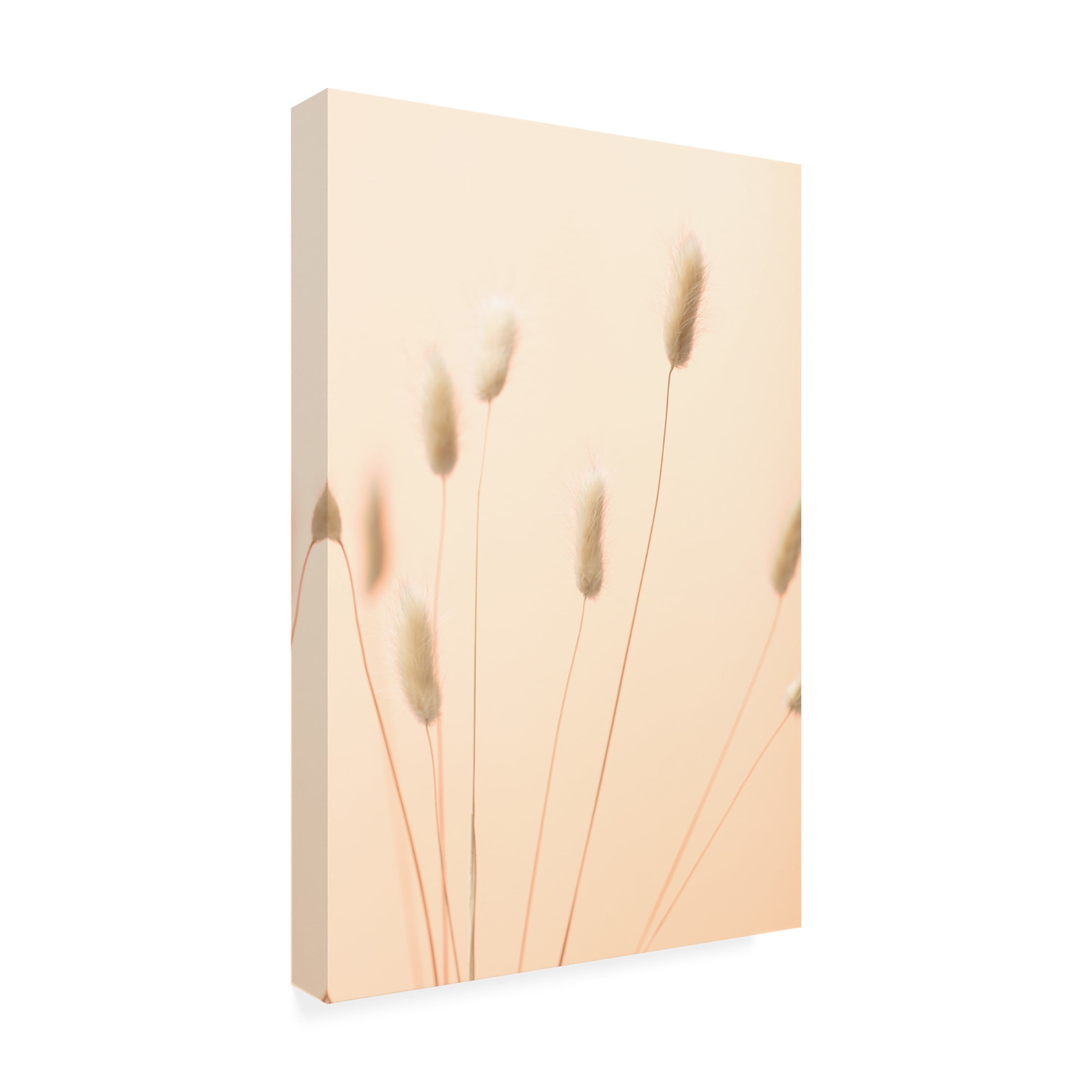 Trademark Fine Art Pictufy Studio Bunny Grass Peach 02 Canvas Wall Art