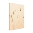 thumbnail image 3 of Trademark Fine Art Pictufy Studio Bunny Grass Peach 02 Canvas Wall Art, 3 of 4