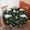 Football And Star, variant on Football and Star Black Pattern Round Tablecloth 70"x70", Wrinkle Resistant Wipeable Table Cover for Kitchen Dining Room Picnic Patio and Party