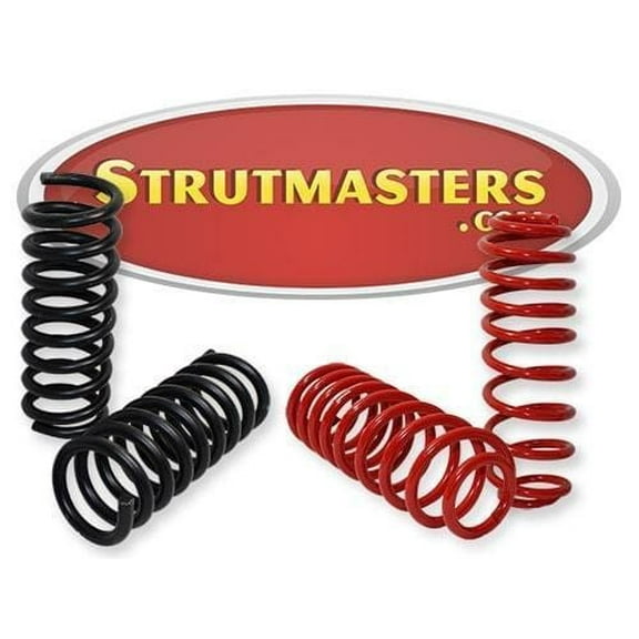 2001-2002 Ford Crown Victoria Rear Air Suspension Conversion Kit with Front Coil Springs (FA440)