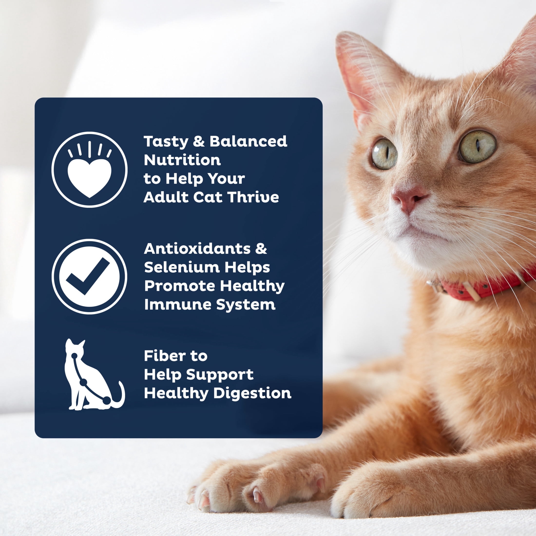 9Lives PLUS Urinary Tract Health Dry Cat Food, 15.5 lb. Bag