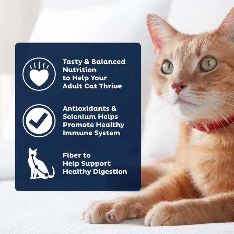 9Lives PLUS Urinary Tract Health Dry Cat Food, 15.5lb photo 5