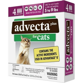 Cat Flea and Tick in Cats Walmart