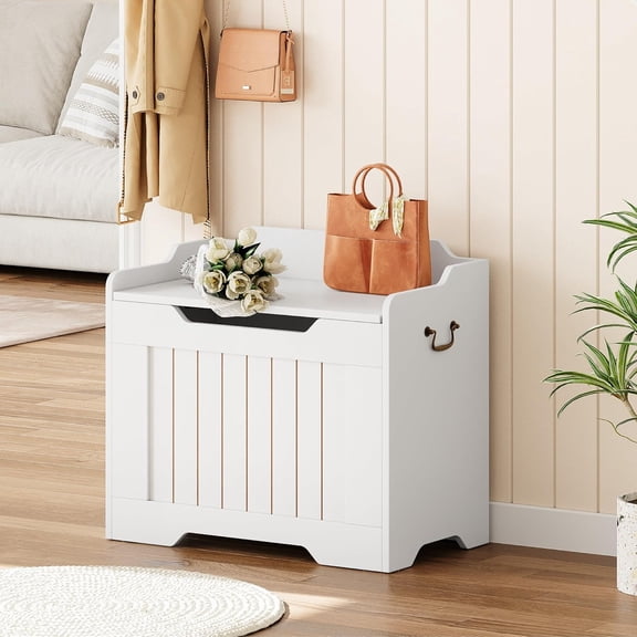 Storage Chest, 24.8" Small Toy Chest, Wood Toy Box for Boys Girls with Lids, Storage Bench with Safety Hinge, Supports 350 Lbs, Storage Trunk for Living Room, Bedroom, Playroom