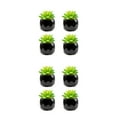 thumbnail image 3 of Ounissouiy 4 Uds plantas suculentas artificiales apariencia realista fácil de mantener decoración de balcón suculentas Baoshilian baoshiliano 2Conjunto, 3 of 6
