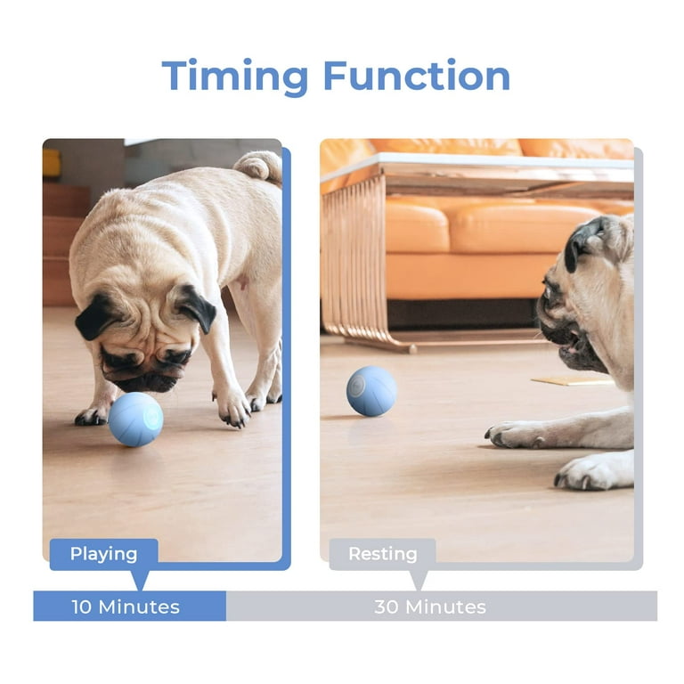 Interactive Dog Balls, Dog Toys for Boredom and Stimulating, Dog Toys for  Aggressive Chewers, Safer for Dog's Mouths - AliExpress