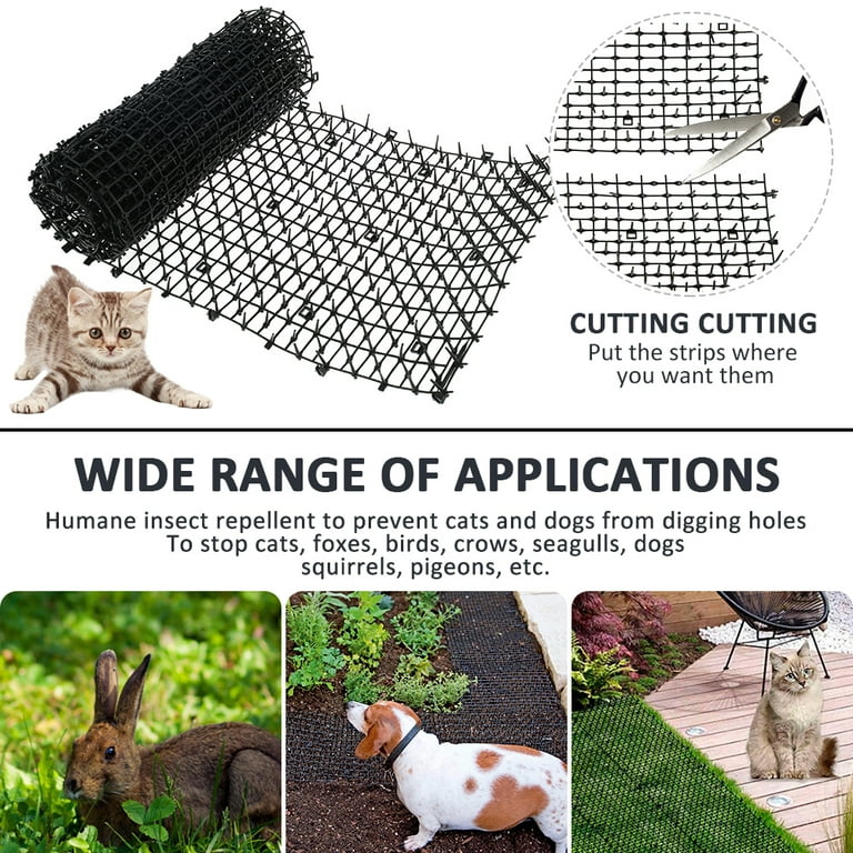 Cat Digging Holes In Garden Fasci Garden