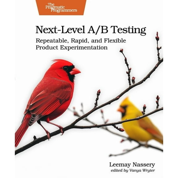 Next-Level A/B Testing: Repeatable, Rapid, and Flexible Product Experimentation, (Paperback)