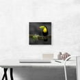 thumbnail image 2 of ARTCANVAS Toucan Bird Green Branch Forest Canvas Art Print - Size: 12" x 12" (1.50" Deep), 2 of 9