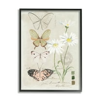 Stupell Industries Antique Daisy Field Study Earth Tone Color Scale Vintage Painting Black Framed Art Print Wall Art, 16 x 20, Design by Jennifer Paxton Parker