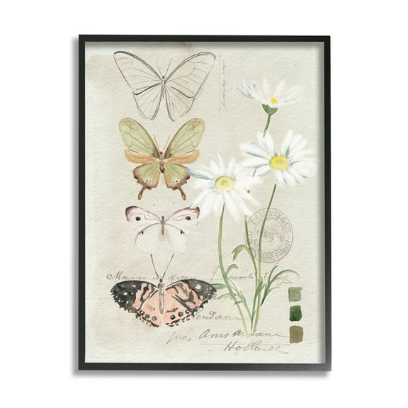 Stupell Industries Antique Daisy Field Study Earth Tone Color Scale Vintage Painting Black Framed Art Print Wall Art, 16 x 20, Design by Jennifer Paxton Parker