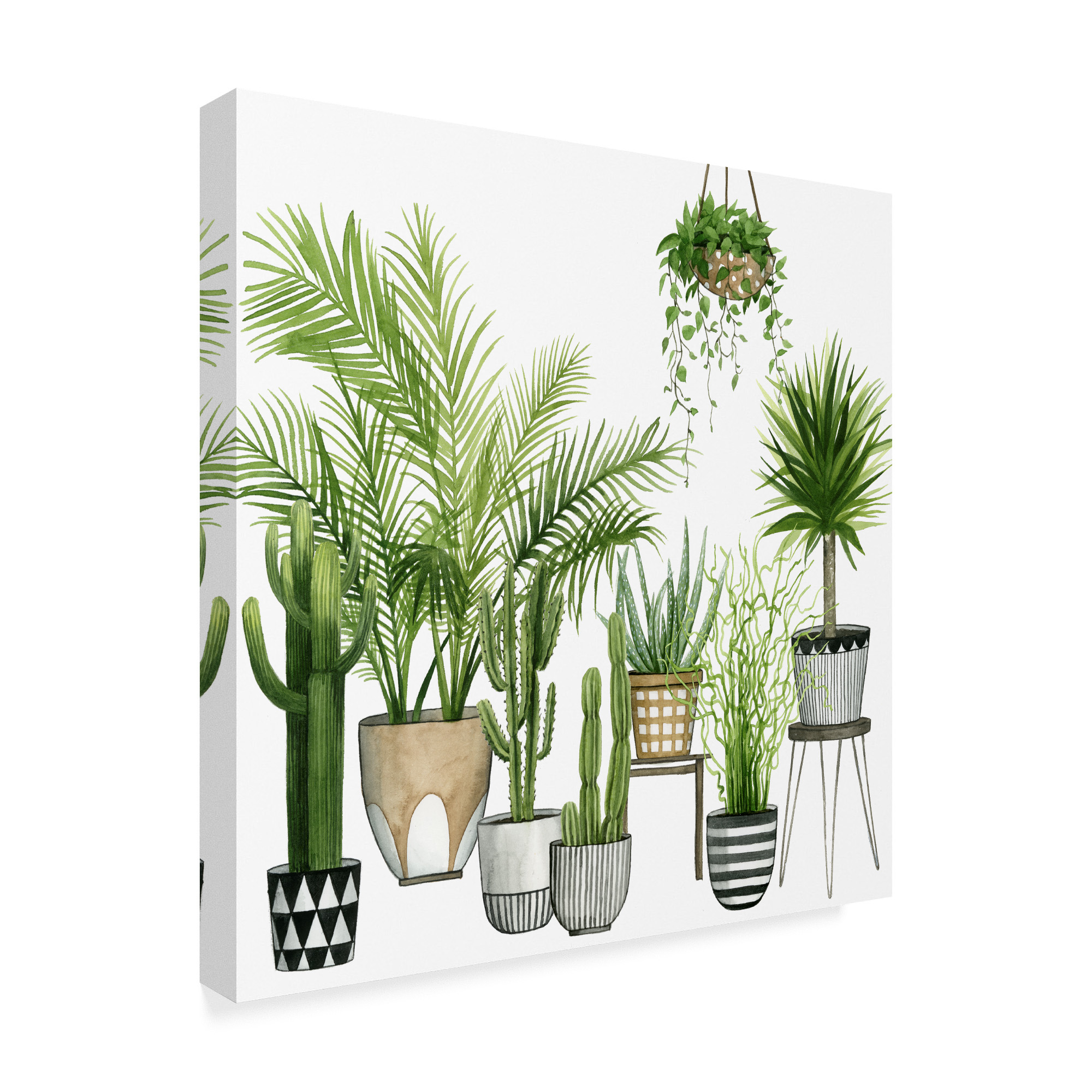 Trademark Fine Art 'Plant Haven II' Canvas Art by Grace Popp