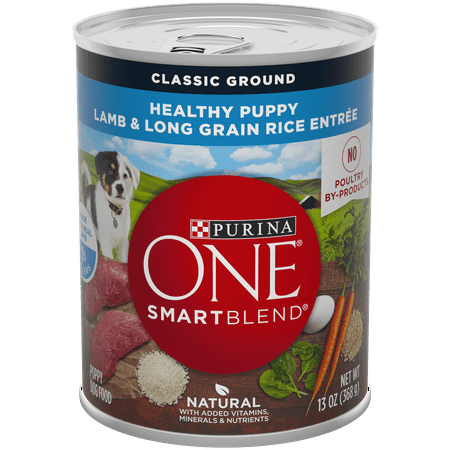 Purina ONE Natural Pate Wet Puppy Food; SmartBlend Healthy Puppy Lamb & Long Grain Rice Entree - 13 oz. (Best Healthy Junk Food)