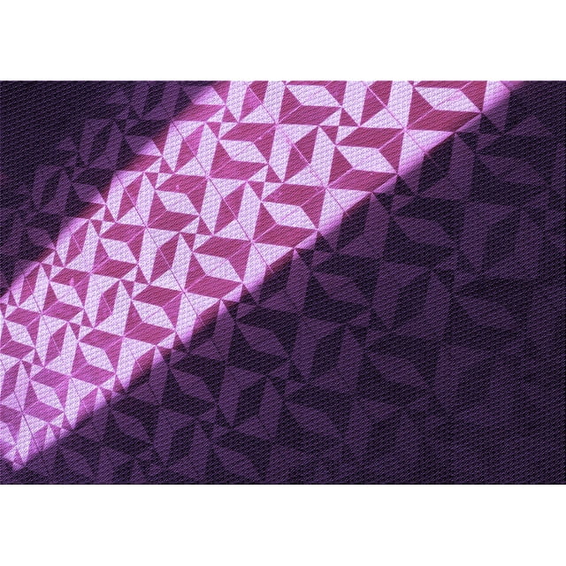 Ahgly Company Tapis Rectangulaire d'Intérieur Lavable en Machine Transitionnel Violet Foncé, 5 Pieds x 7 Pieds