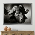 thumbnail image 3 of Designart 'Black and White Portrait Of Buffalo II' Farmhouse Framed Art Print, 3 of 4