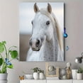 thumbnail image 4 of Qisvanset 12x16 Inch White Horse Portrait Canvas Wall Art, Elegant Animal Print Ready To Hang Horse Lover Home Decor, 4 of 8