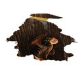 thumbnail image 1 of 3D Removable Ceiling Wall Stickers Home Decor Mural Macarena Techo Wall Stickers, 1 of 6