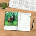 thumbnail image 4 of Horse Lovers | 2024 6x7.75" Wire-O Engagement Planner Calendar | BrownTrout, 4 of 8