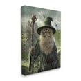 thumbnail image 4 of Stupell Industries Fantasy Wizard Cat Animals & Insects Painting Gallery Wrapped Canvas Art Print Wall Art, 16 x 20, 4 of 8