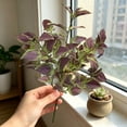 thumbnail image 4 of Artificial Perilla Leaves Greenery Stems, 17.7" Large Foliage Picks Purple-Green Leaves, Lifelike Botanic Decor for Floral Arrangement, Home Shelf Centerpiece Wedding Party Indoor, 4 of 7