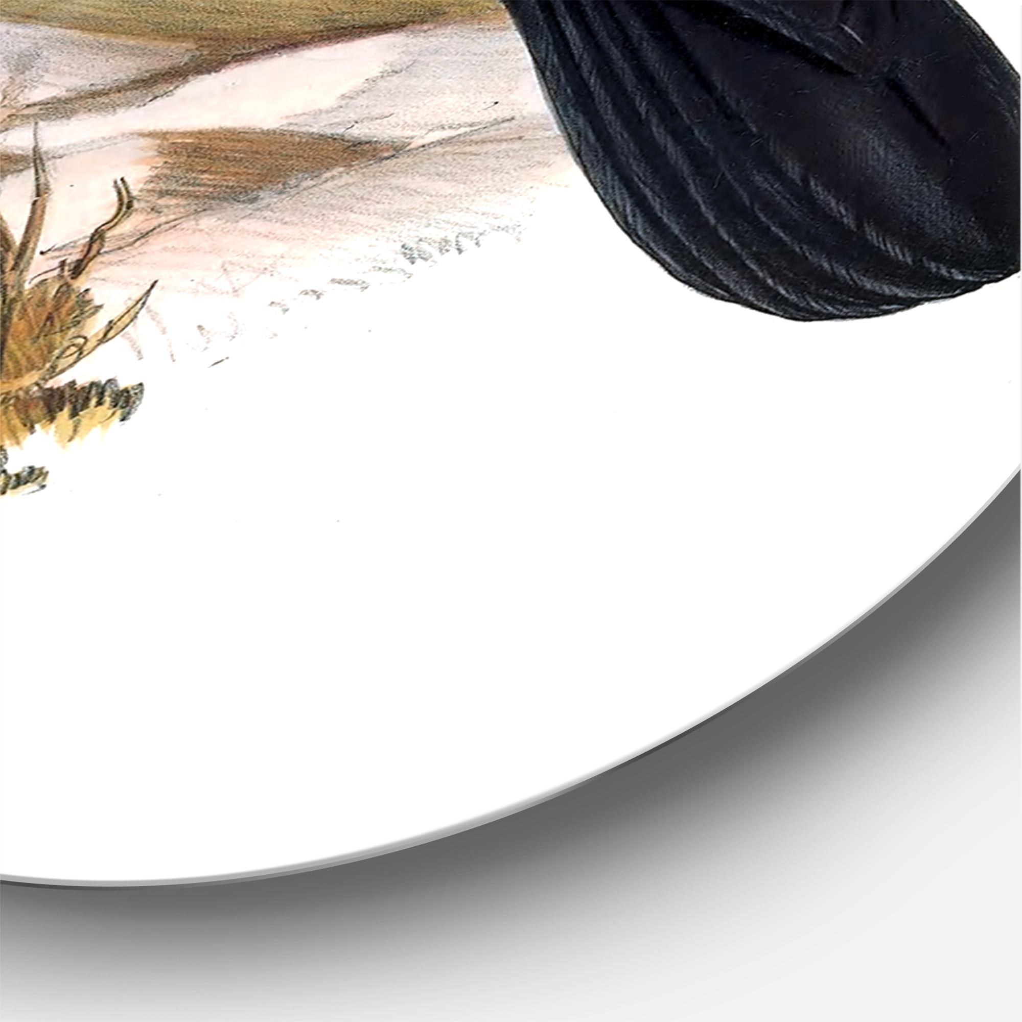 Designart 'Ancient Australian Birds VI' Traditional Circle Metal Wall Art 36x36 - Disc of 36
