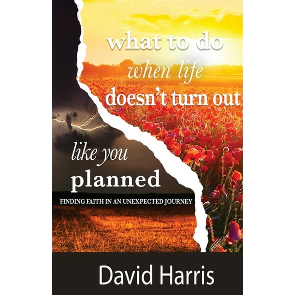 What to Do When Life Doesn't Turn Out Like You Planned, (Paperback)