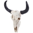 thumbnail image 6 of Yucurem Cow Skull Head Ornament Wall Hanging 3D Animal Statue for Home Decor (A), 6 of 10